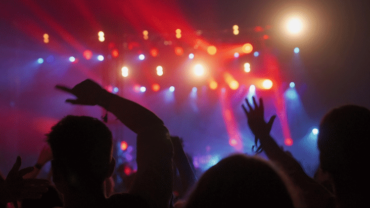 Crowd at a Fake Festival waving their hands in the air