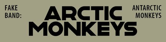 Antarctic Monkeys